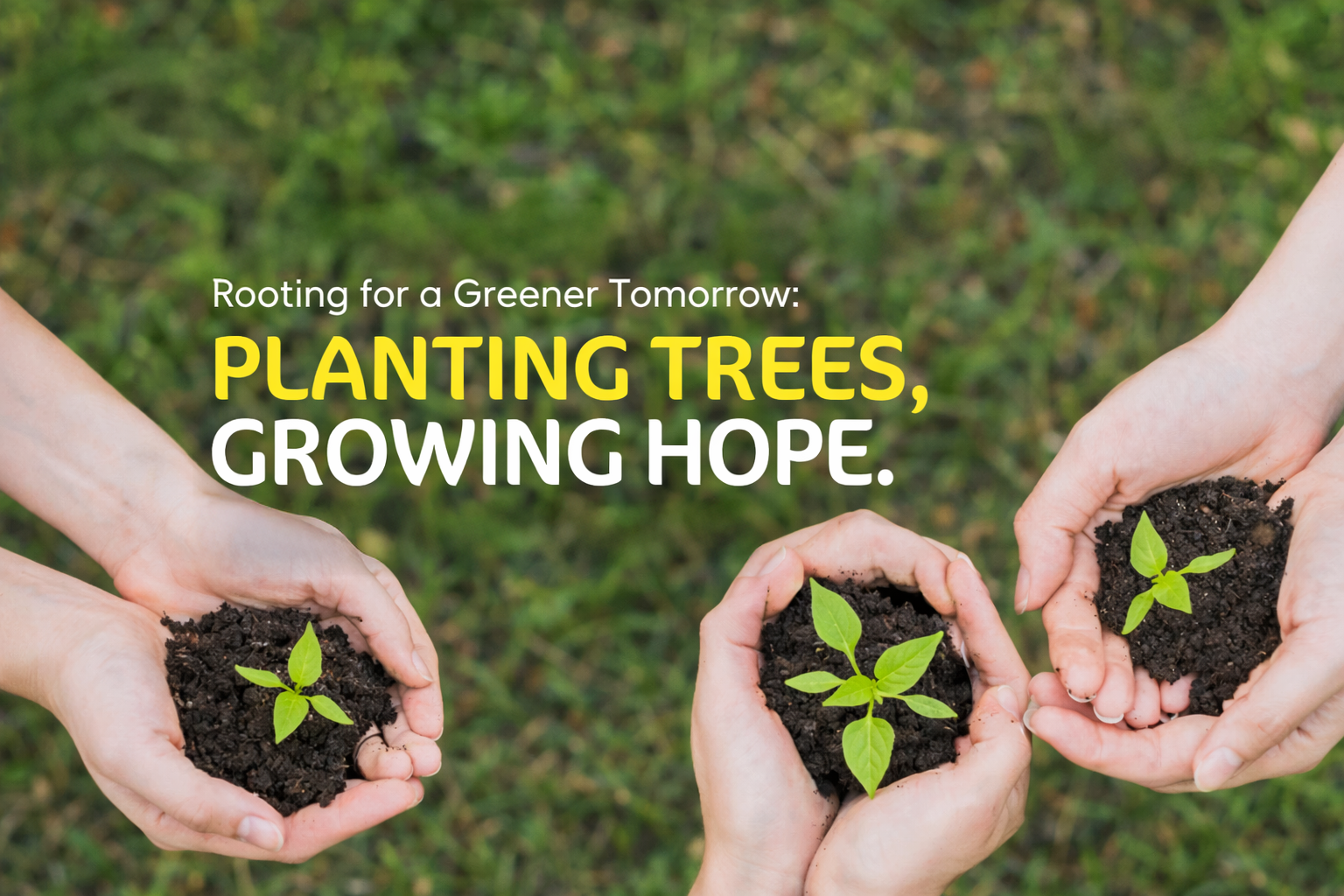 Rooting for a Greener Tomorrow: Planting Trees, Growing Hope
