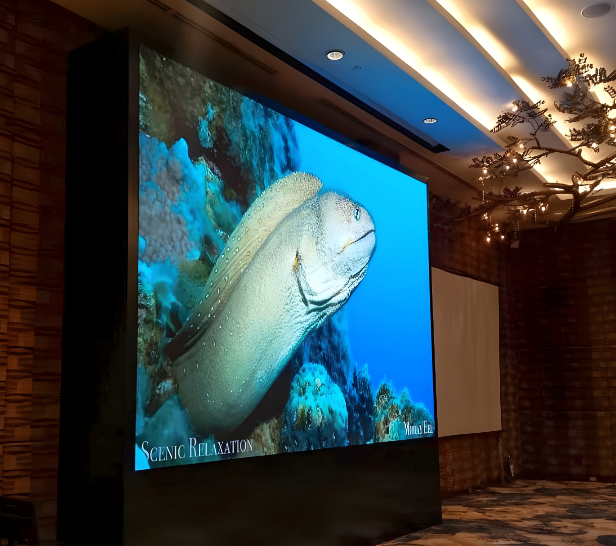 Installation 2 duplicate